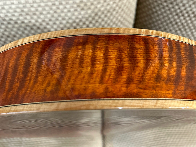 Benedetto Bravo 7-string-rim_800-jpg
