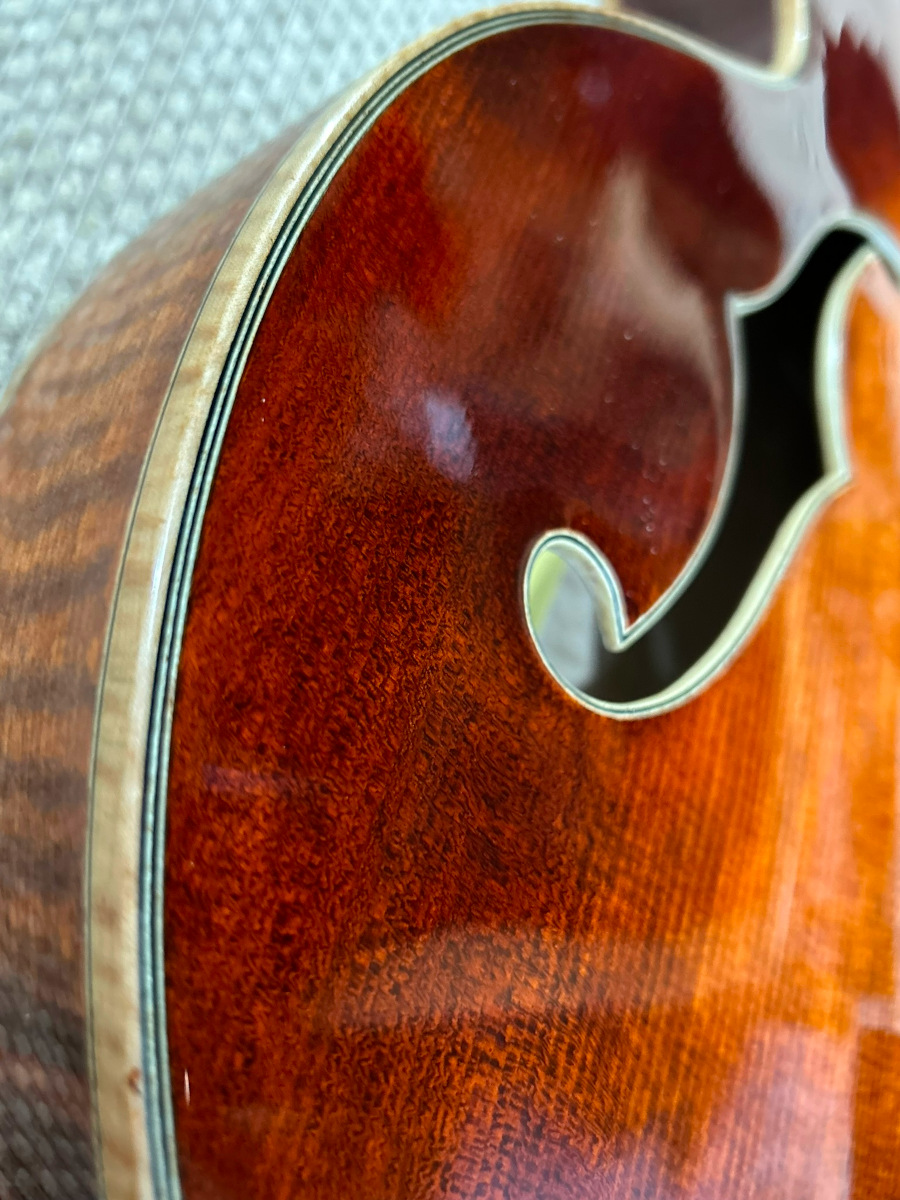 Benedetto Bravo 7-string-binding-jpeg