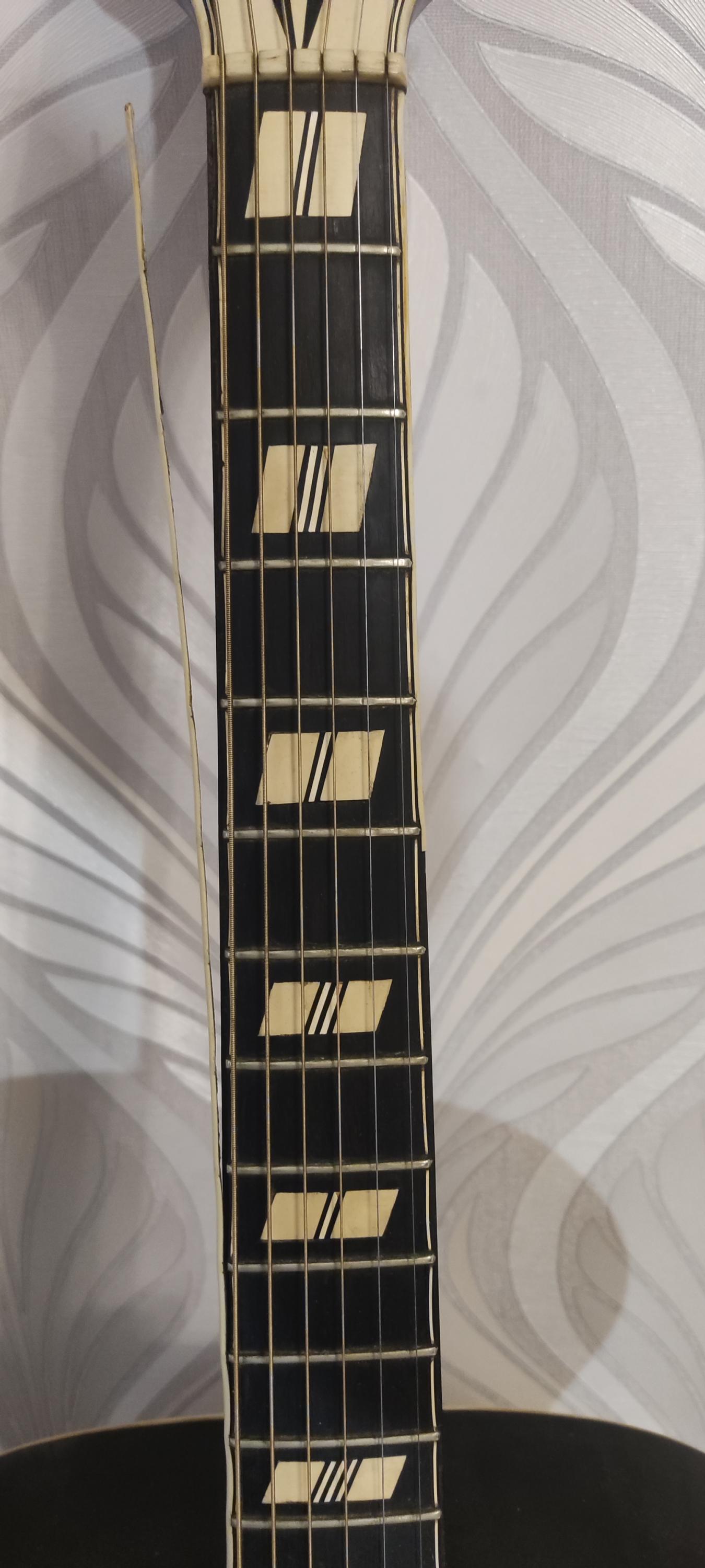 Vintage German Archtops-img_20250302_170429-jpg
