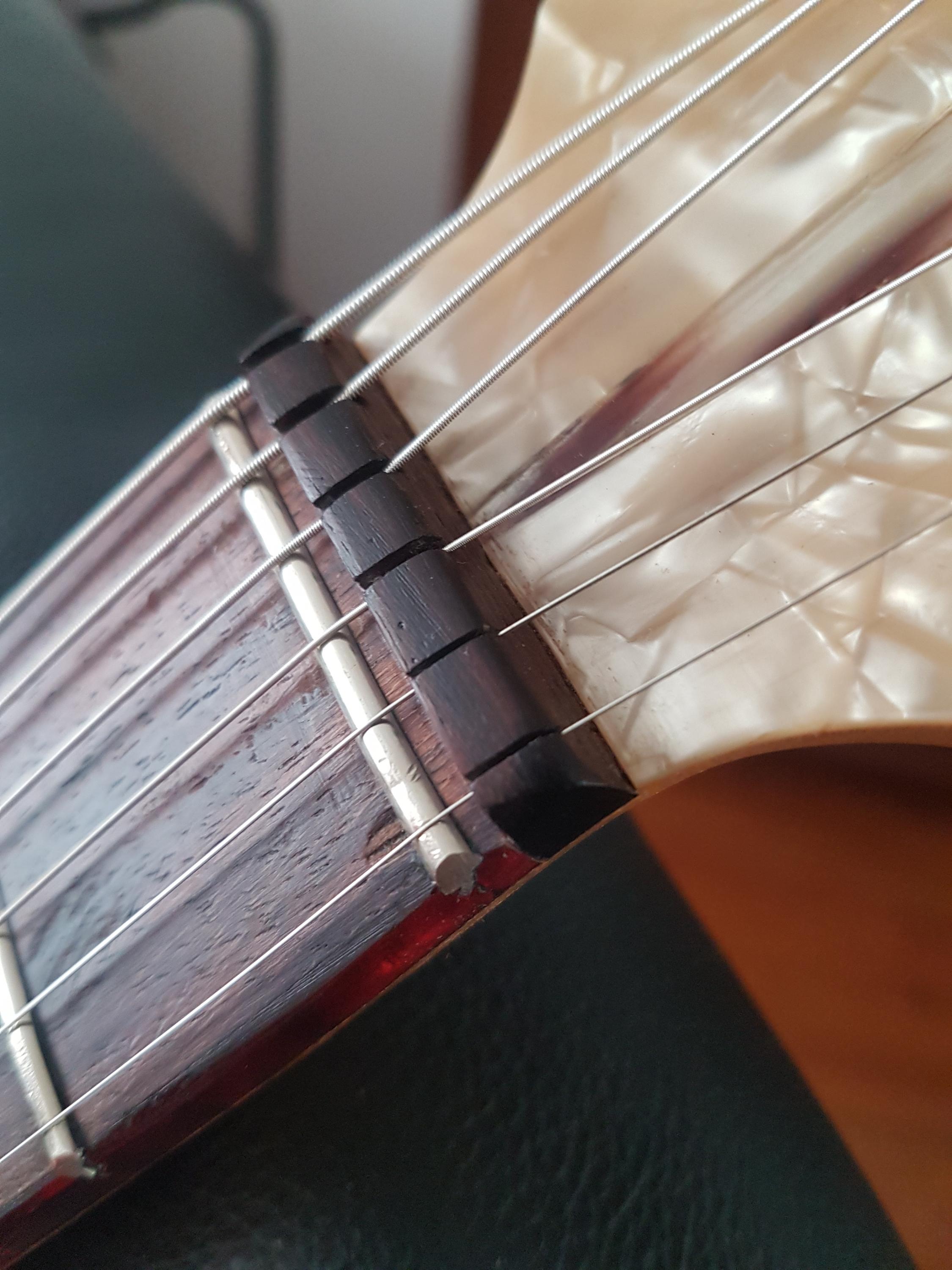Vintage German Archtops-20260413_114559-jpg