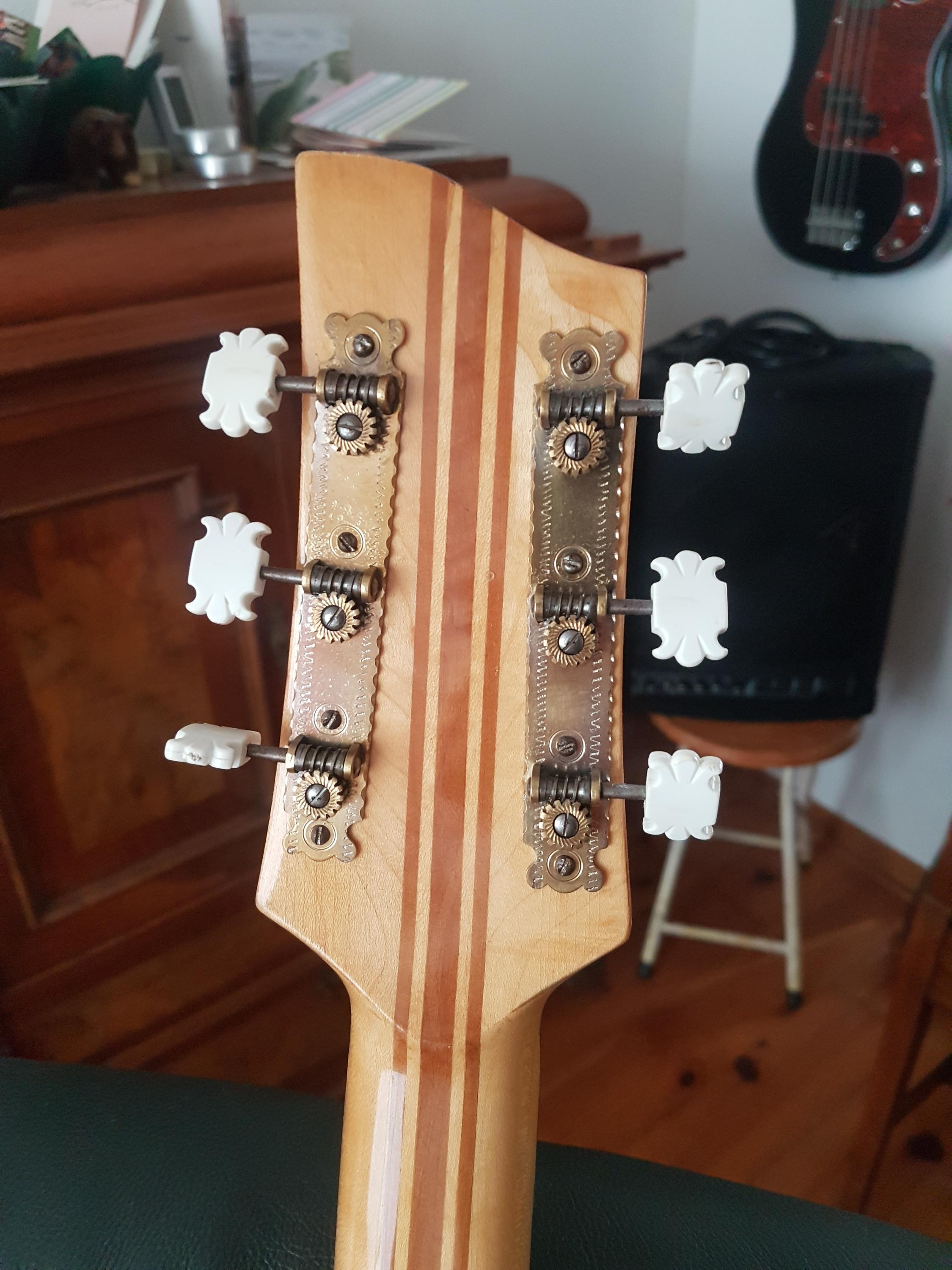 Vintage German Archtops-20260413_114532-jpg