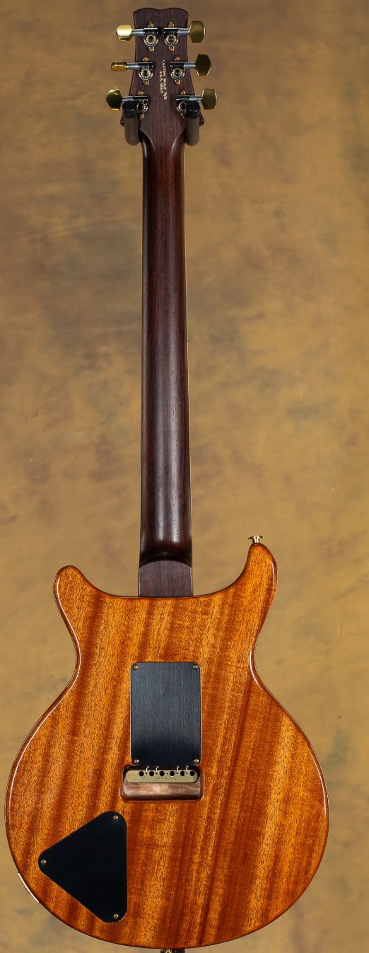 How Many Guitars Do You Own?-screenshot-2026-02-19-094330-jpg