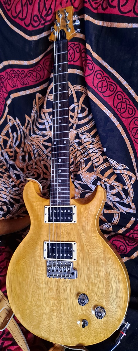 How Many Guitars Do You Own?-luna-jpg