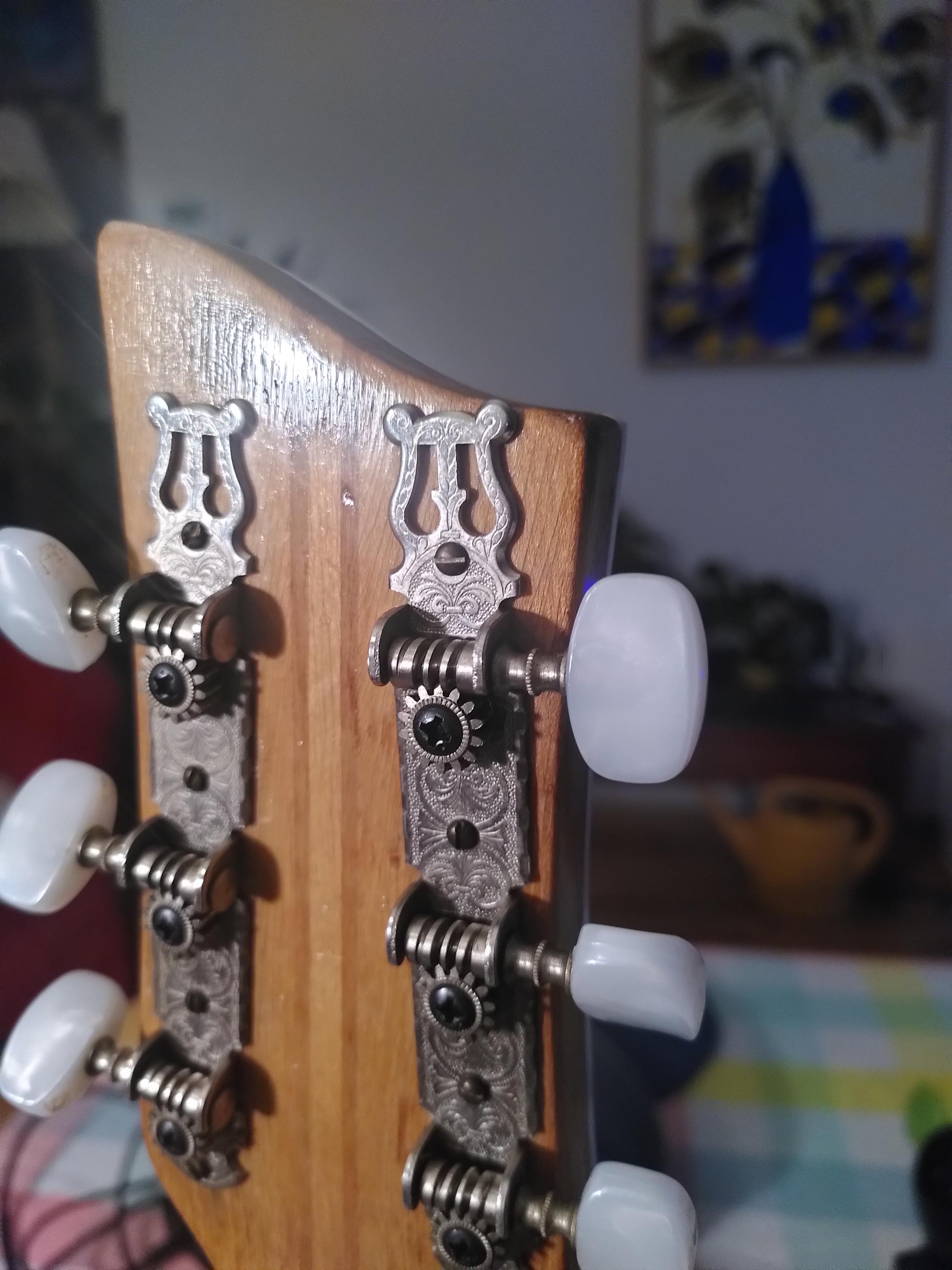 Vintage German Archtops-img_20260505_210217-jpg