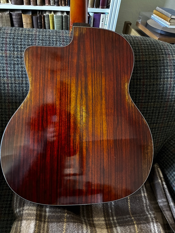 The New Eastman DM4 Gypsy-Jazz Guitar-dm42-jpg