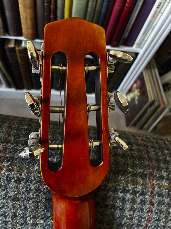 The New Eastman DM4 Gypsy-Jazz Guitar-dm45-jpg
