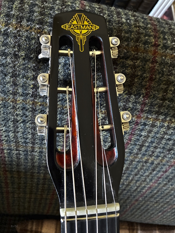 The New Eastman DM4 Gypsy-Jazz Guitar-dm46-jpg