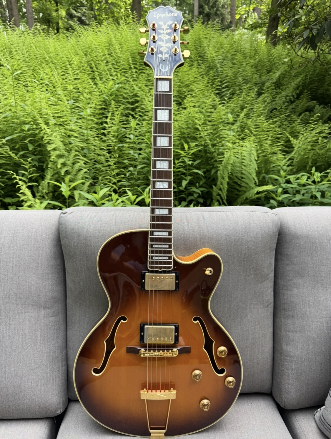 1989 Epiphone Emperor JDM (pre-pre Joe Pass)-img_1595-jpeg