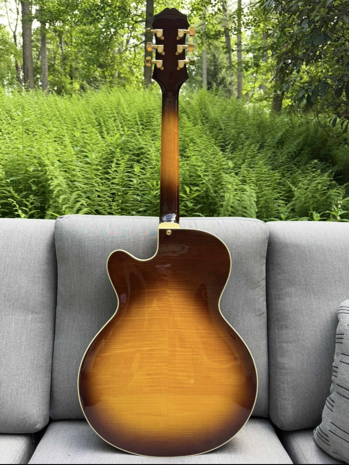1989 Epiphone Emperor JDM (pre-pre Joe Pass)-img_1596-jpeg