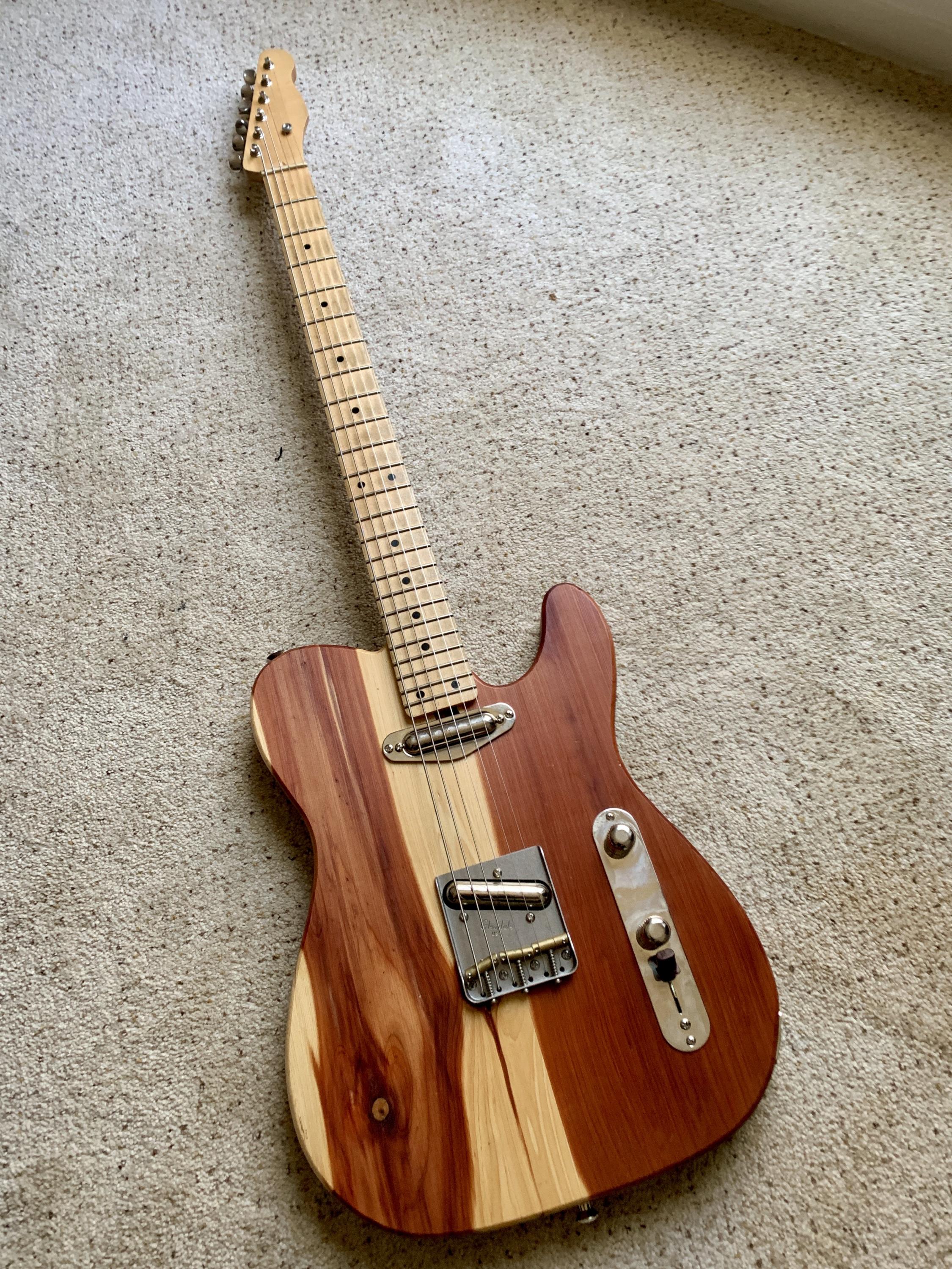 Telecaster Love Thread, No Archtops Allowed-bari-tele-jpg
