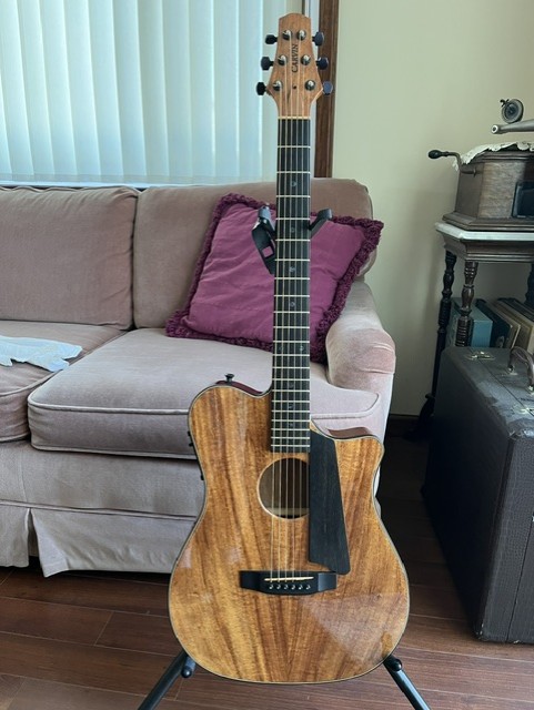 Flattop Thread, No Archtops Allowed-ac375-front-jpg