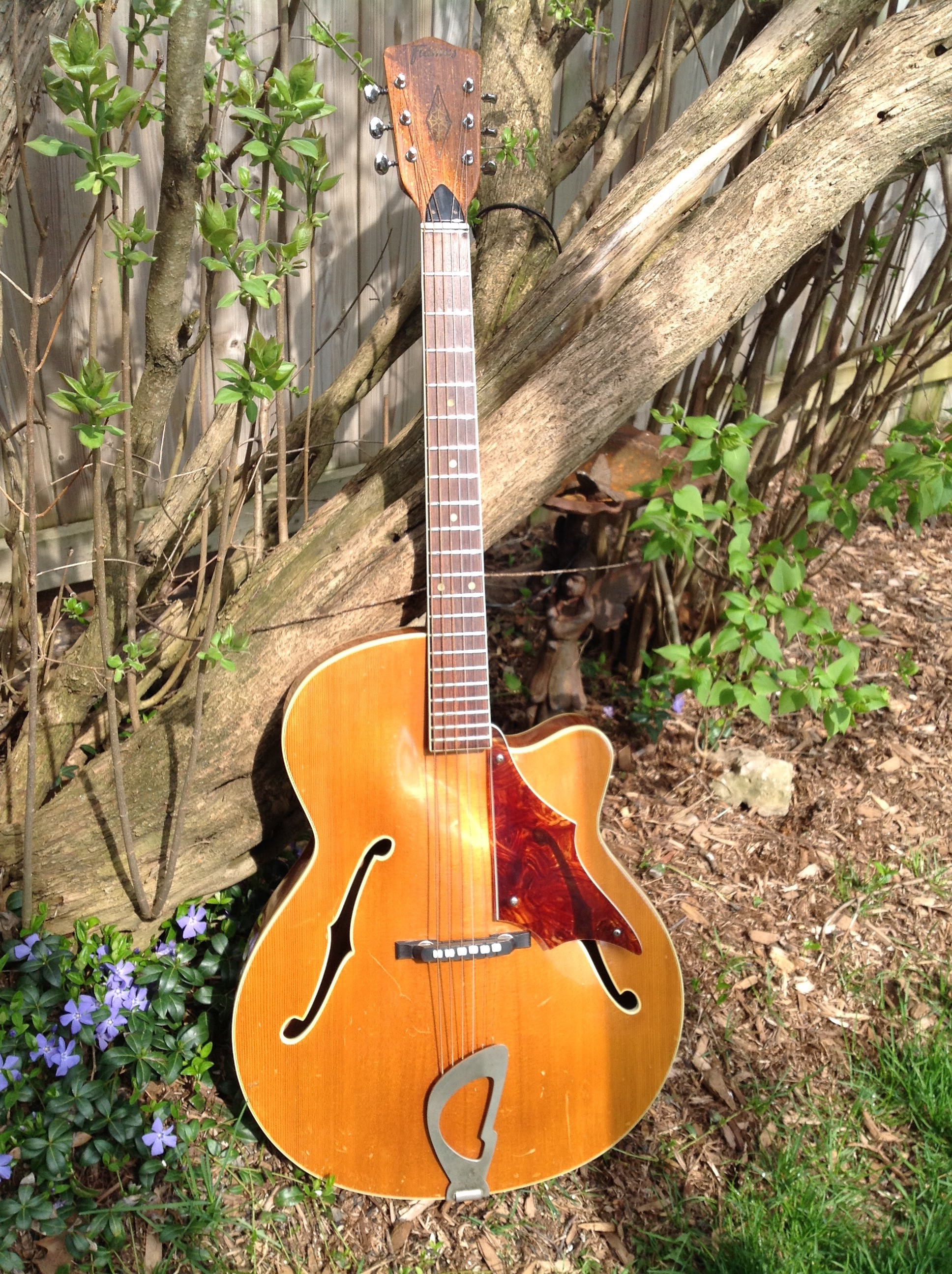 Calling you Framus folk-img_3757_original-jpeg