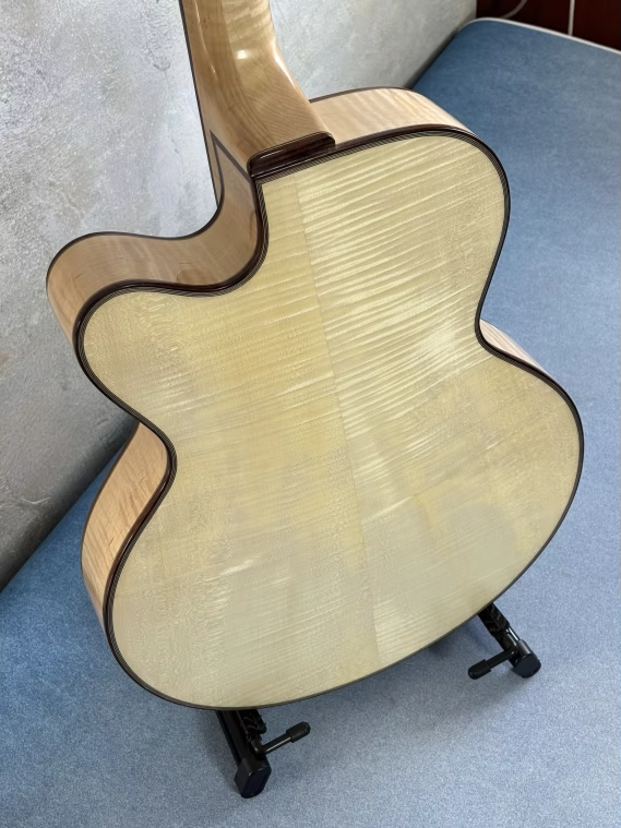 Does a nylon stringed archtop guitar exist?-alibababc8ebecfcb01e5f00211bbabdde6c320_original-png