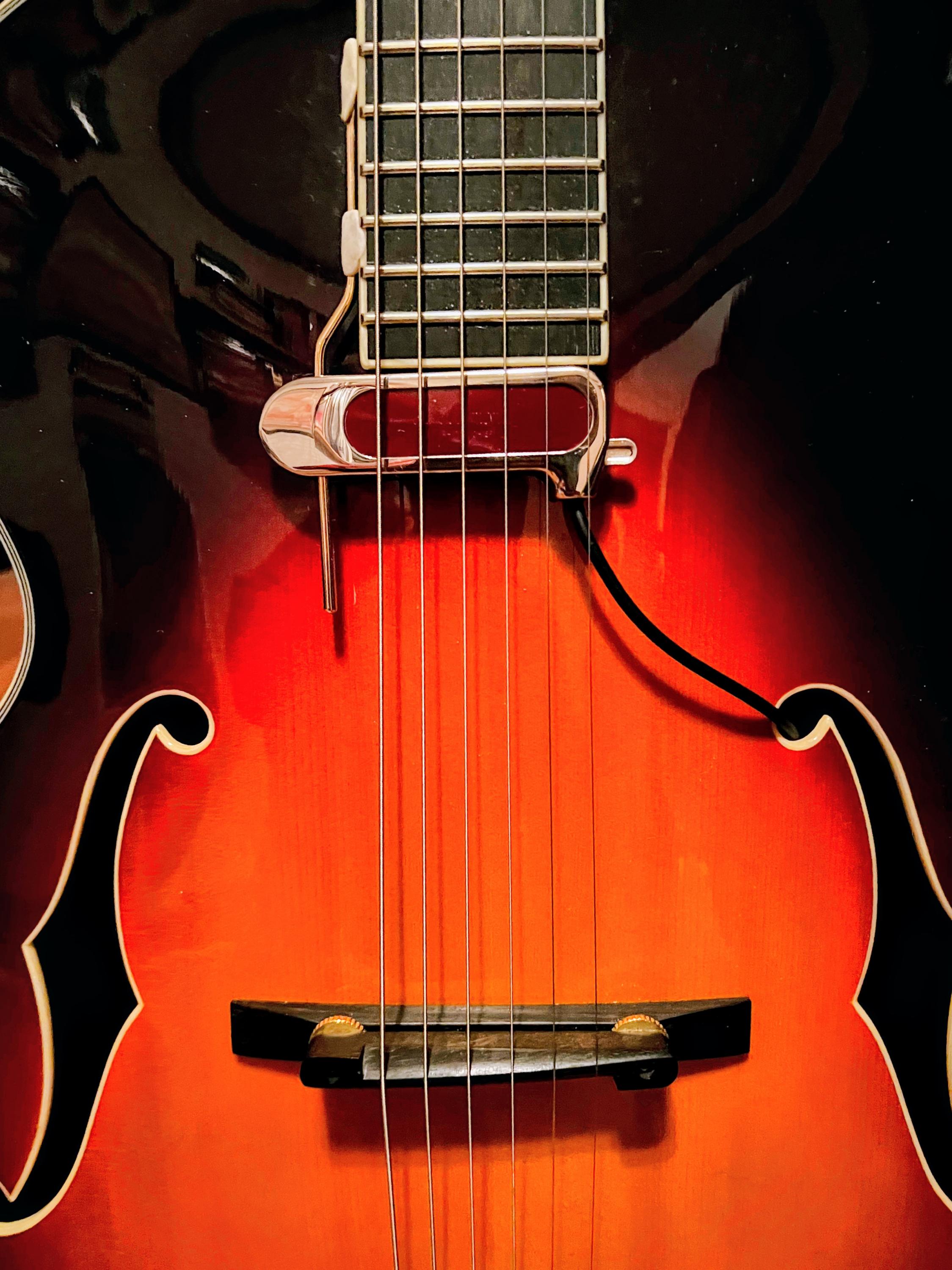 Eastman AR610 - Pickup Options-img_6606-jpg