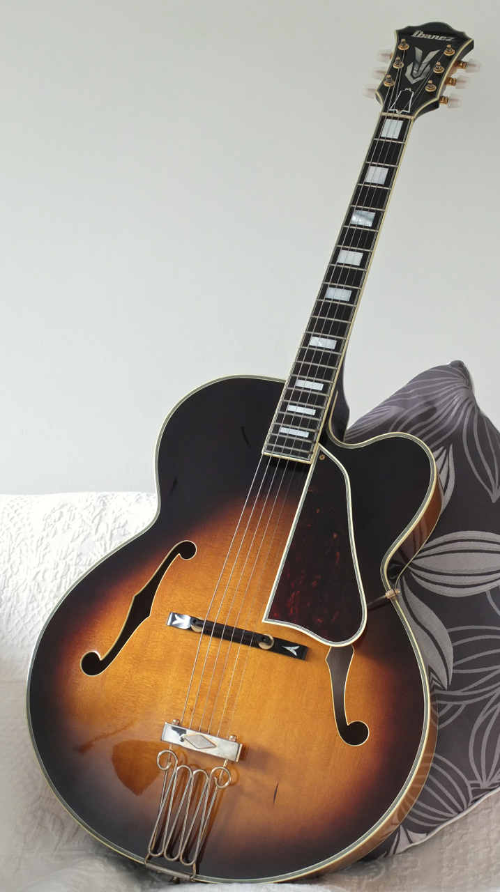 Fujigen (FGN) Masterfield MFA-FP-dscf2170-jpg