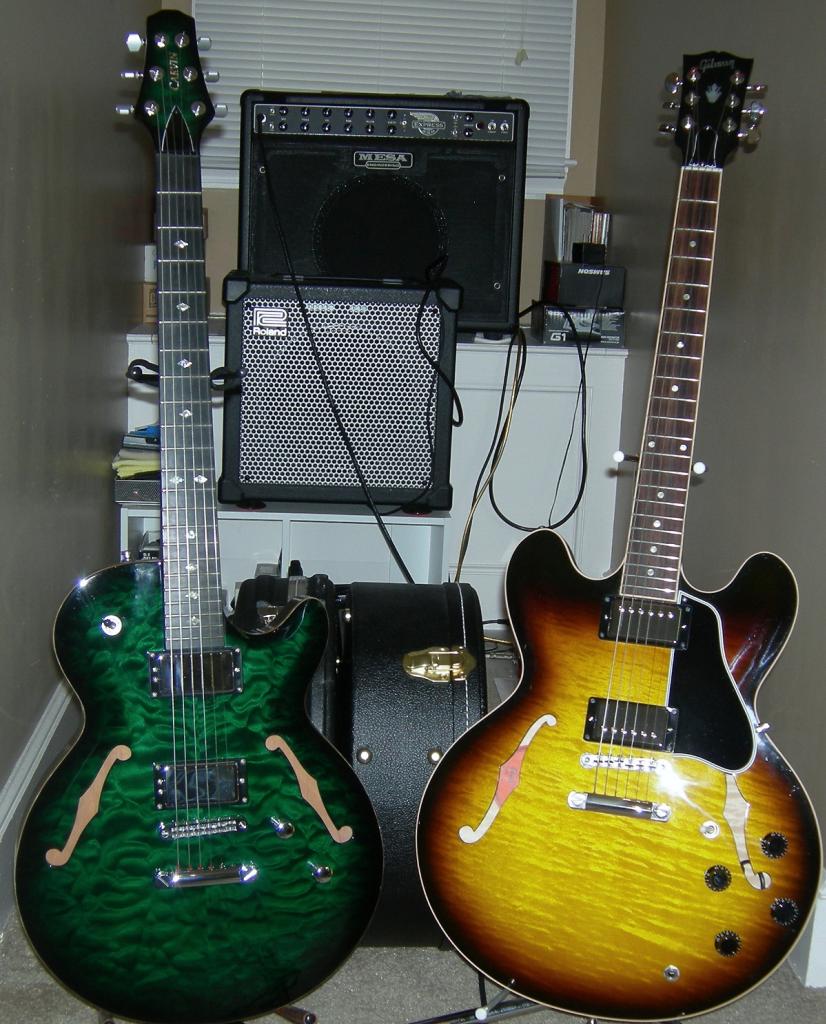 Small body semi-hollow guitars-dscn3476_zps34d3cecc-jpg