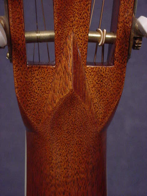 Why the dislike for volutes?-0045s_volute-jpg