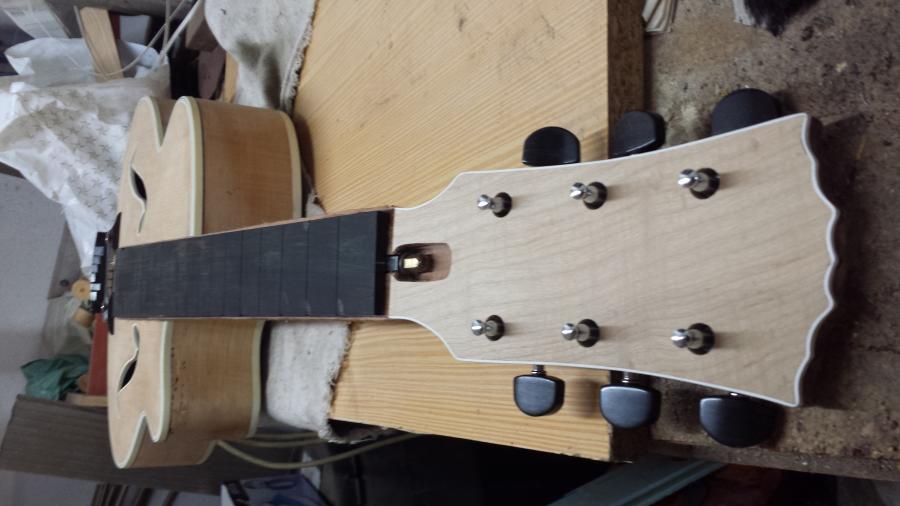 F-Holes and Tailpiece Design-20141021_234545-jpg