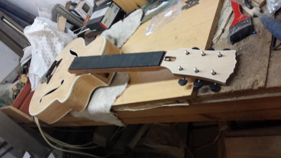 F-Holes and Tailpiece Design-20141021_234627-jpg