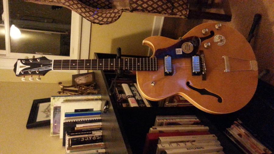 Thinline jazz guitar suggestions please-1417411988205-jpg