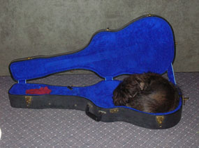 Do you leave your archtop in or out of its case?-weezee-case-quarter-size-jpg
