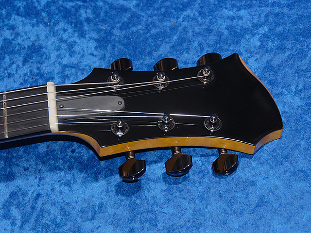 Kurt Rosenwinkel Guitar Setup-2014004b4640-jpg