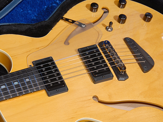Kurt Rosenwinkel Guitar Setup-2014004b6640-jpg