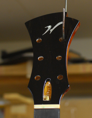 sadowsky vs unger vs collings vs painter vs ibanez (best laminates?)-holst-progress-8-jpg