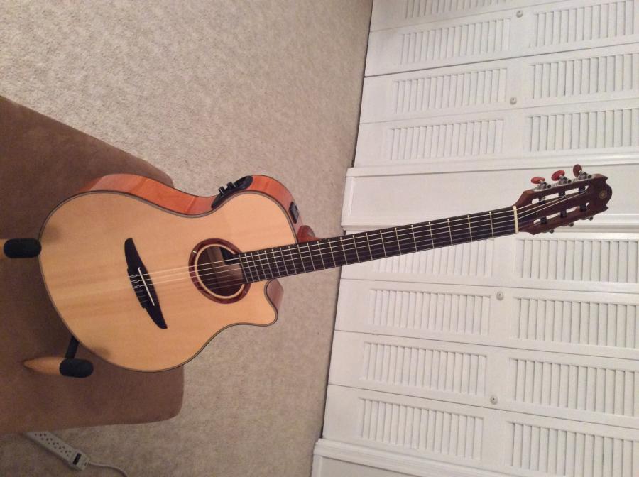 acoustic/electric classical-image-jpg