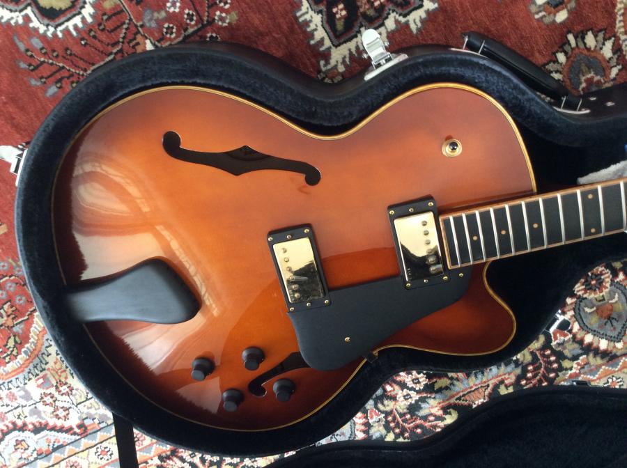 Ibanez AF95RW Artcore Expressionist-image-jpg