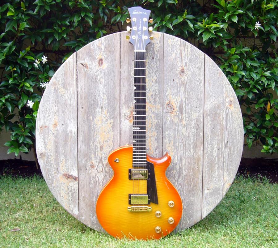Semi-hollow guitar without full block?-p1030216-jpg