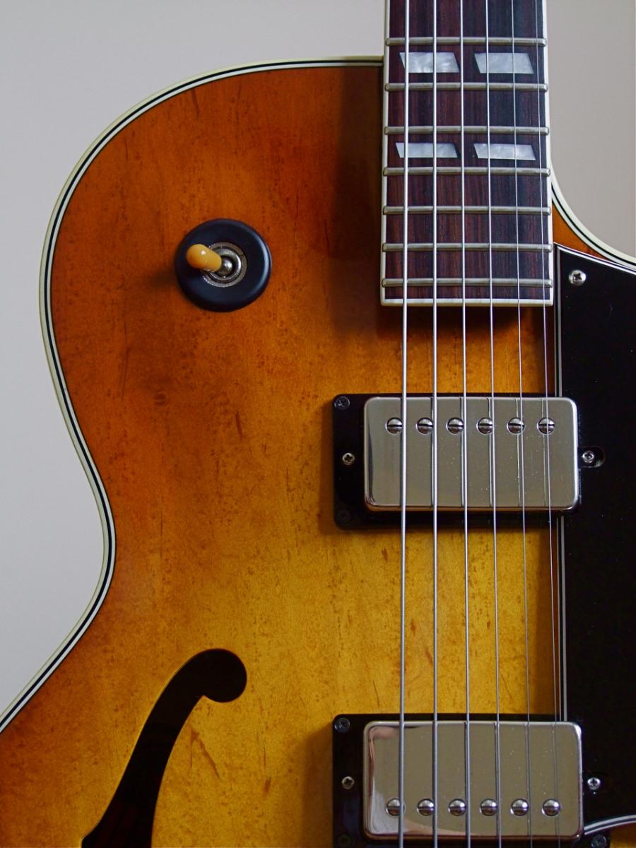 Aria Pro II Herb Ellis-dscf2165-jpg
