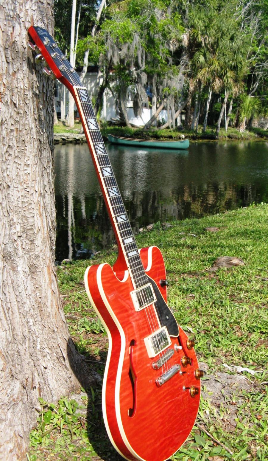 Favorite Gibson thinline guitar-img_4095-jpg