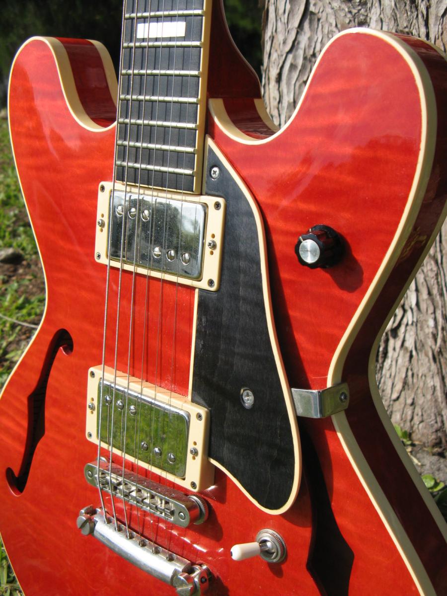 Favorite Gibson thinline guitar-img_4096-jpg