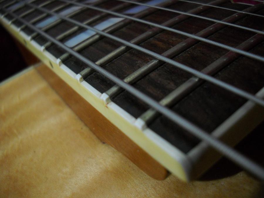 The Regular Gibson ES-175-dscn0003-jpg