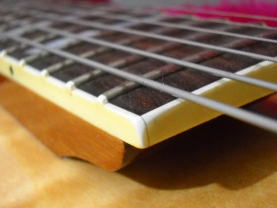 The Regular Gibson ES-175-dscn0005-jpg