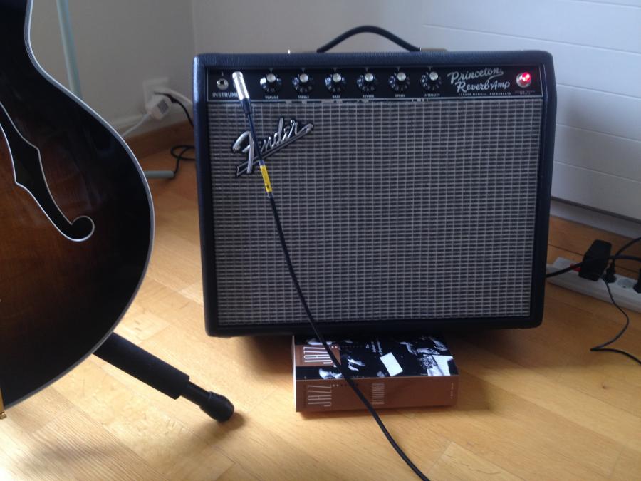 The sound of a Fender Bassman 59 reissue from a smaller amp?-img_2025-jpg