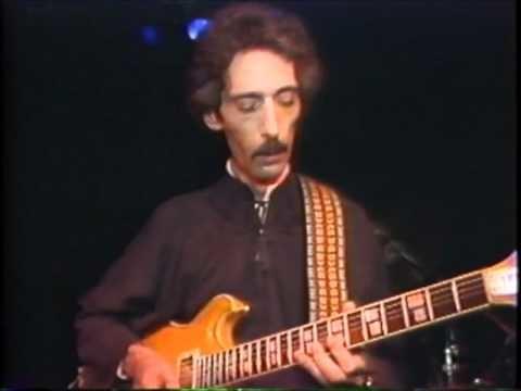 Info on Polytone Guitars?-lrydhfhlliagd69kbgvo-jpg
