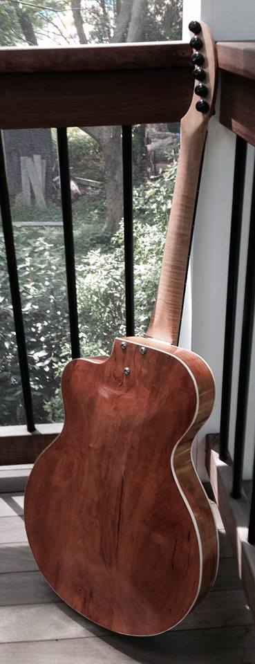 Nigel Forster style Archtop-archieback-jpg