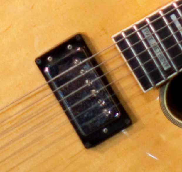 Got my Gibson L-5 Wes Montgomery today-screen-shot-2015-06-26-8-31-36-am-png