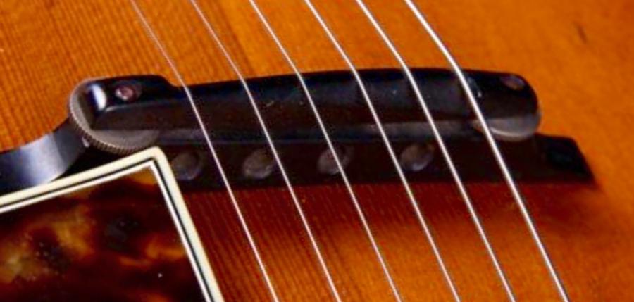 Roger Guitars-image-jpg