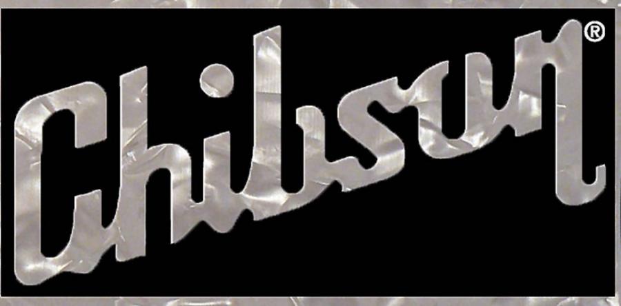 Byrdland from China-logo-chibson-jpg
