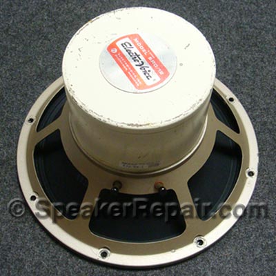 Solid State and Tube Amp Observations-ev-sro12-back-jpg