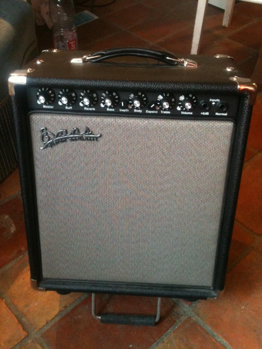 Evans RE 300-evans-custom-amplifiers-re200-1090875-jpg