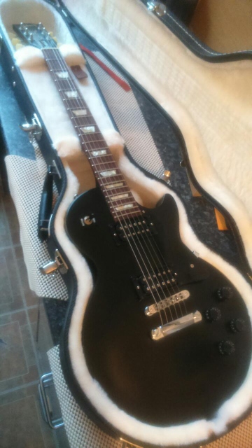 Epiphone Les Paul Standard Pro-dsc_0868-360x640-jpg
