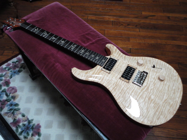 Epiphone Les Paul Standard Pro-dsc02342-jpg