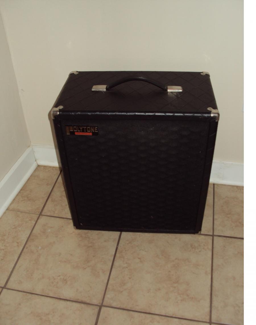 Polytone Mini Brute III Extension Cabinet-mbiii-front-jpg
