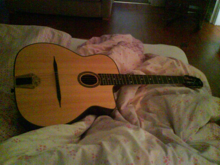 Iconic tones/guitars vs. finding your own-dsc00079-jpg