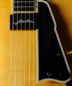 Pickguard and Volume/Tone placement problem-shadow-48-jpg