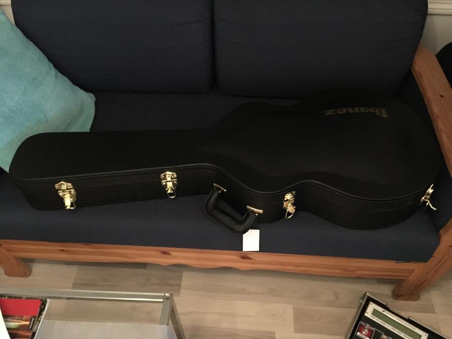 Ibanez PM120-img_0642-jpg